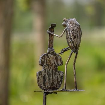 Kikker blad cello